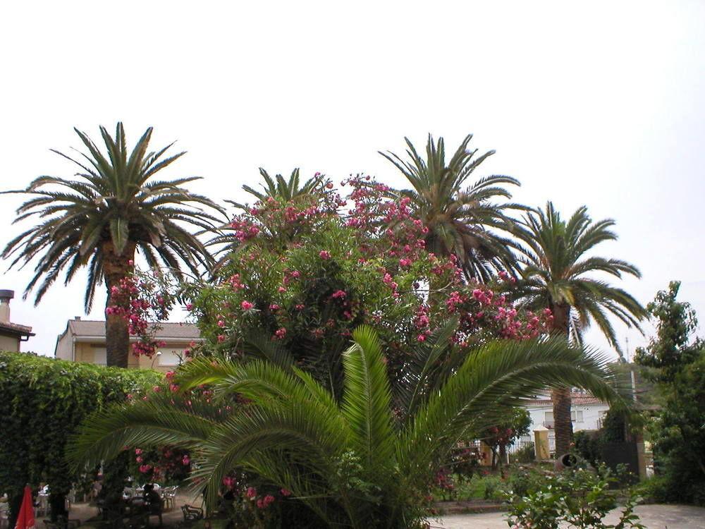 Hostal La Colonial Madrigal de la Vera Eksteriør bilde